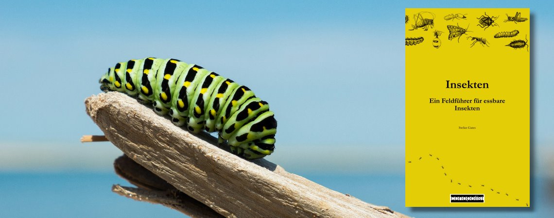 Essbare Insekten - Slider